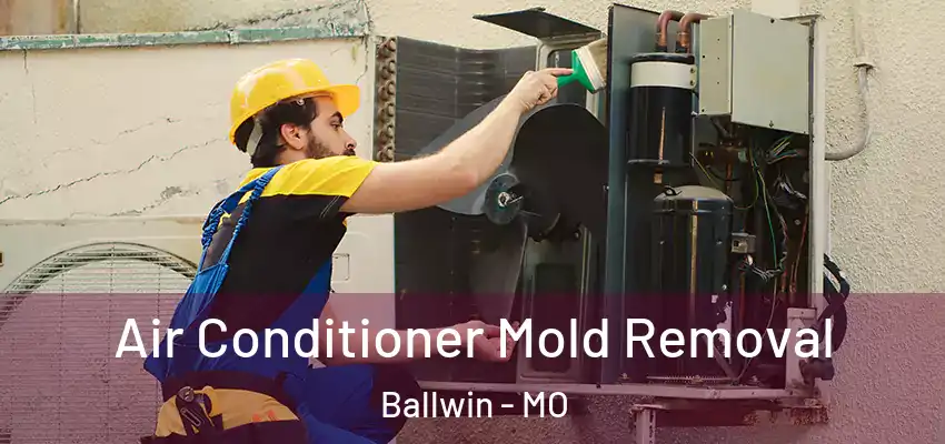  Air Conditioner Mold Removal Ballwin - MO