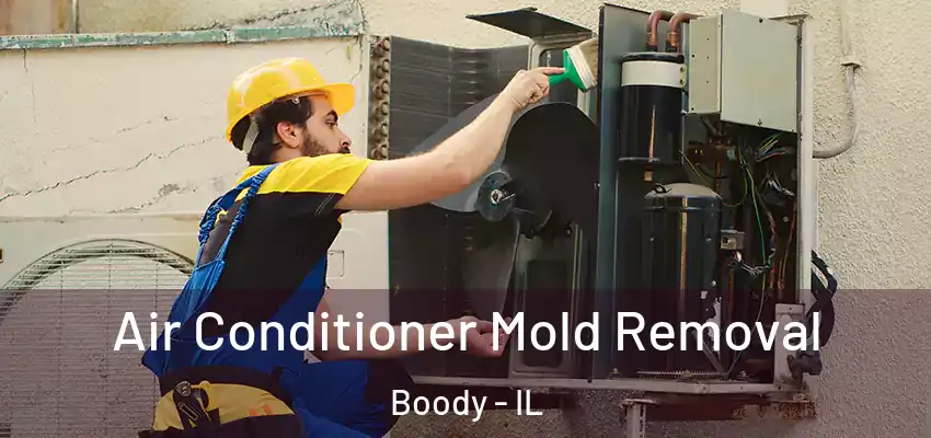  Air Conditioner Mold Removal Boody - IL