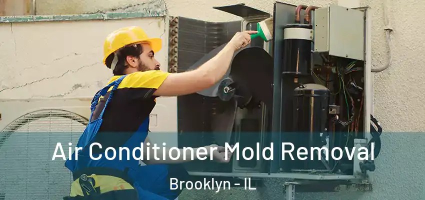  Air Conditioner Mold Removal Brooklyn - IL