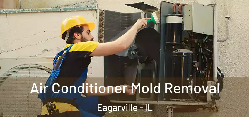  Air Conditioner Mold Removal Eagarville - IL