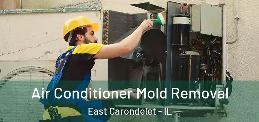  Air Conditioner Mold Removal East Carondelet - IL