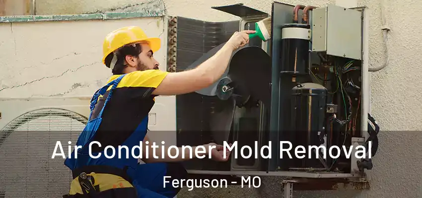  Air Conditioner Mold Removal Ferguson - MO