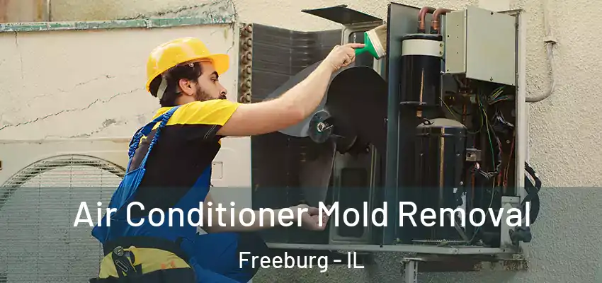  Air Conditioner Mold Removal Freeburg - IL