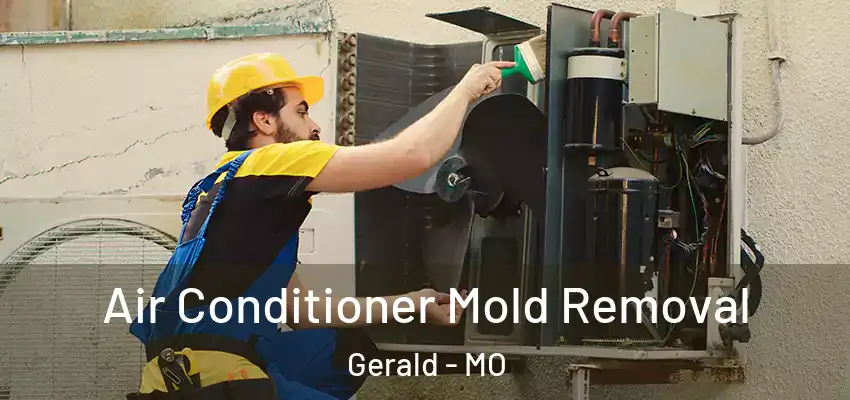  Air Conditioner Mold Removal Gerald - MO