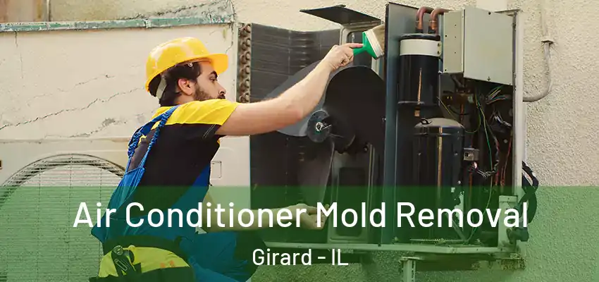  Air Conditioner Mold Removal Girard - IL