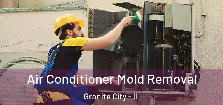 Air Conditioner Mold Removal Granite City - IL