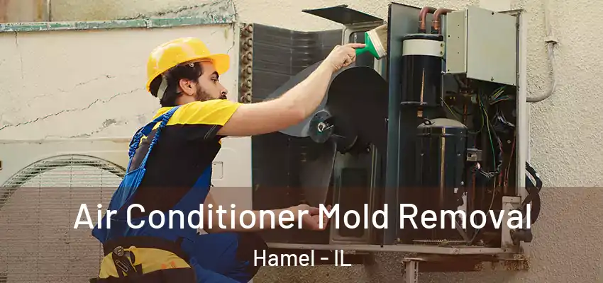  Air Conditioner Mold Removal Hamel - IL