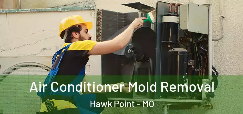 Air Conditioner Mold Removal Hawk Point - MO