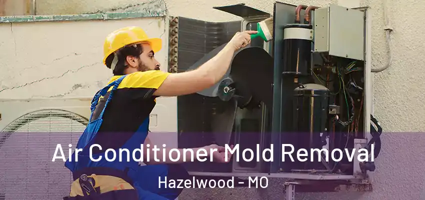  Air Conditioner Mold Removal Hazelwood - MO