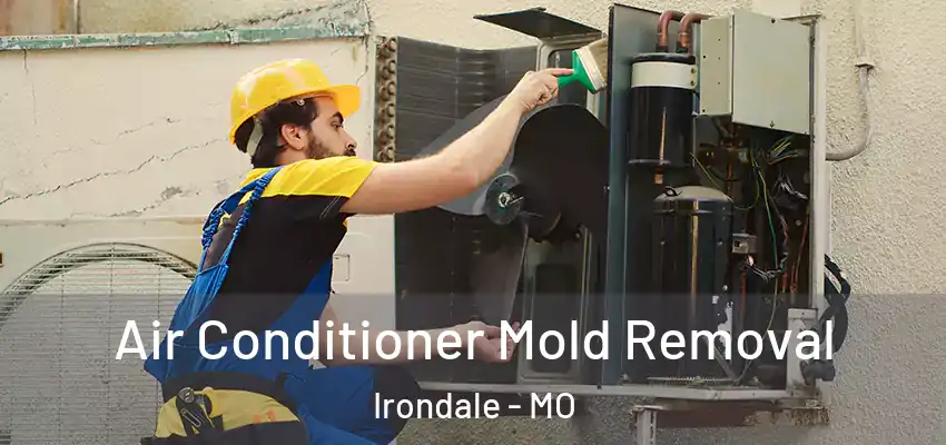  Air Conditioner Mold Removal Irondale - MO