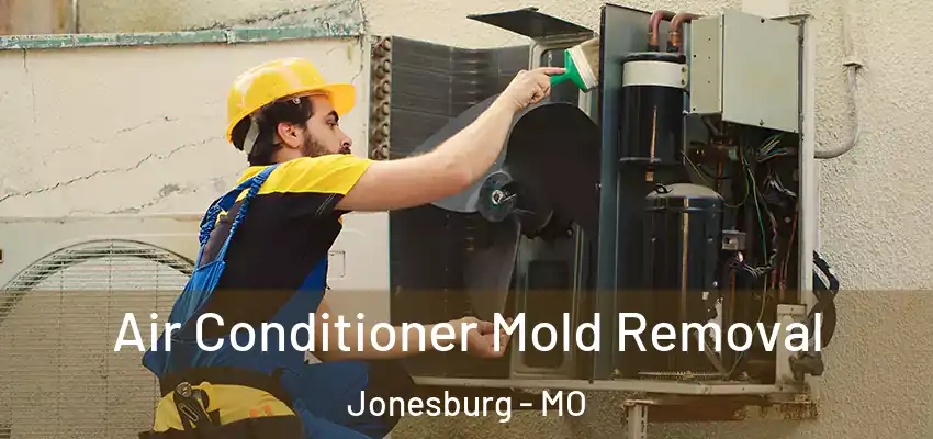  Air Conditioner Mold Removal Jonesburg - MO