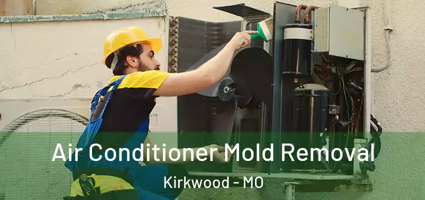  Air Conditioner Mold Removal Kirkwood - MO