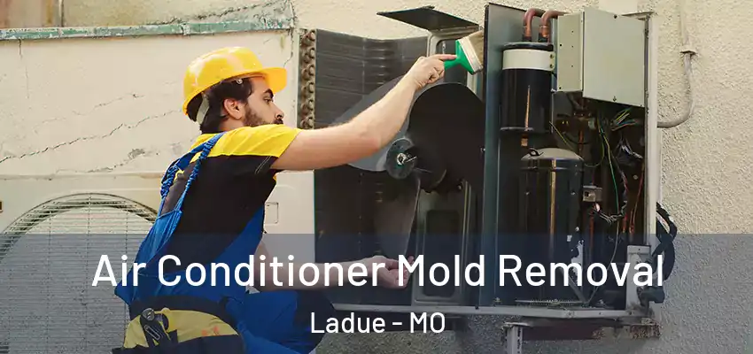  Air Conditioner Mold Removal Ladue - MO