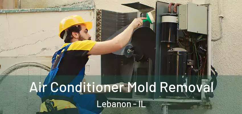  Air Conditioner Mold Removal Lebanon - IL