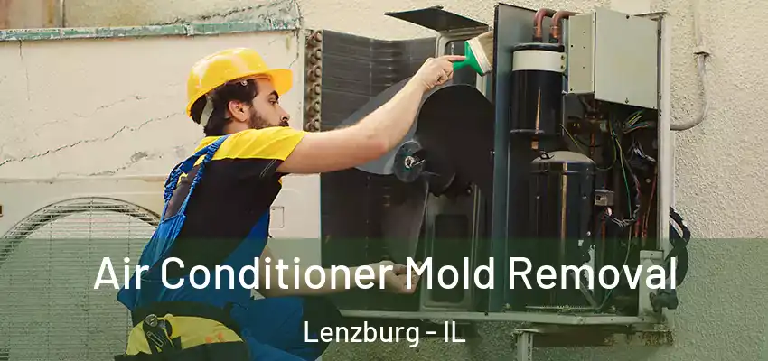 Air Conditioner Mold Removal Lenzburg - IL