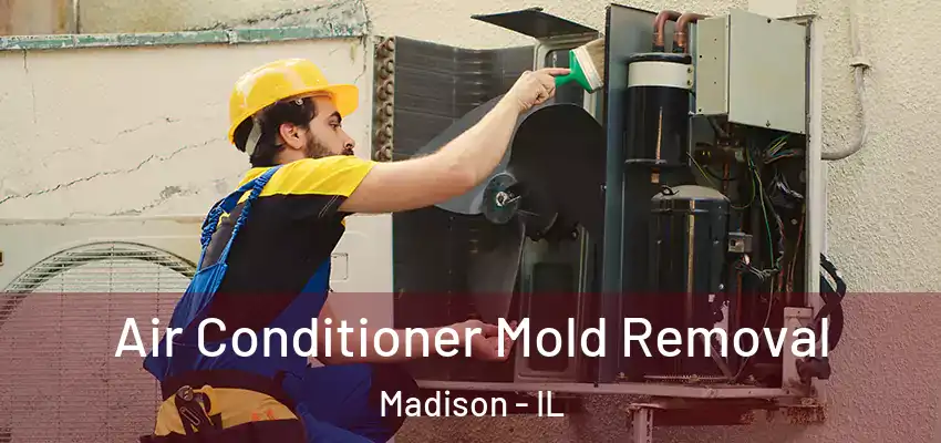  Air Conditioner Mold Removal Madison - IL