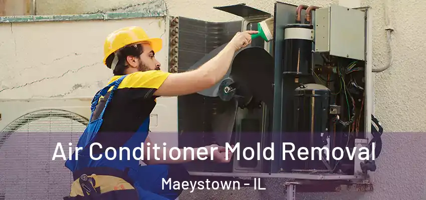  Air Conditioner Mold Removal Maeystown - IL