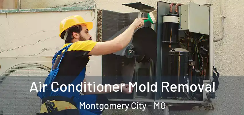 Air Conditioner Mold Removal Montgomery City - MO