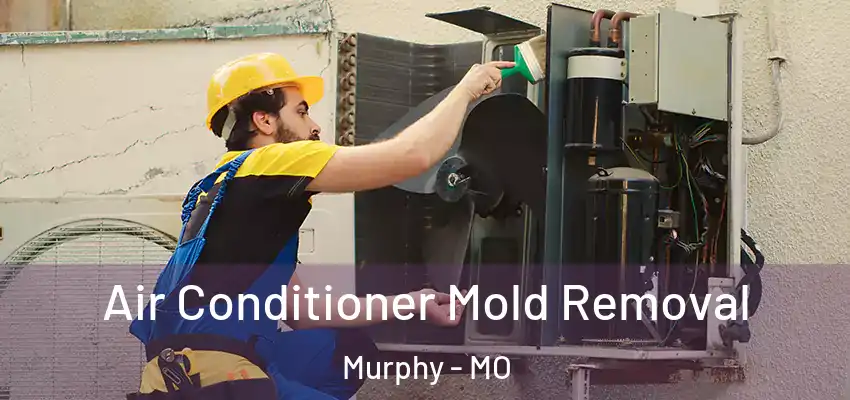 Air Conditioner Mold Removal Murphy - MO