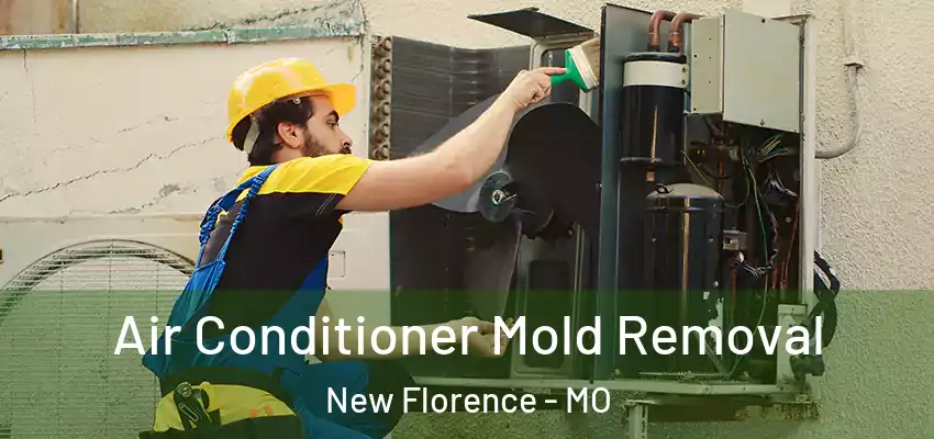  Air Conditioner Mold Removal New Florence - MO