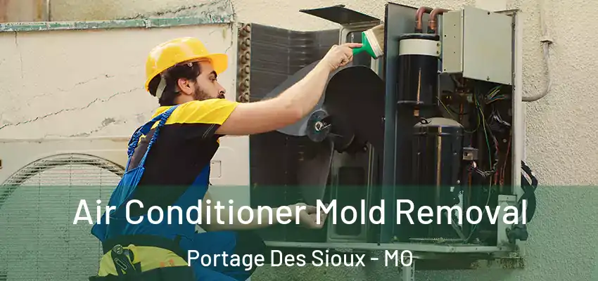 Air Conditioner Mold Removal Portage Des Sioux - MO