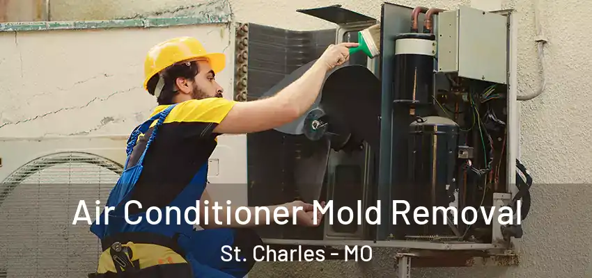 Air Conditioner Mold Removal St. Charles - MO