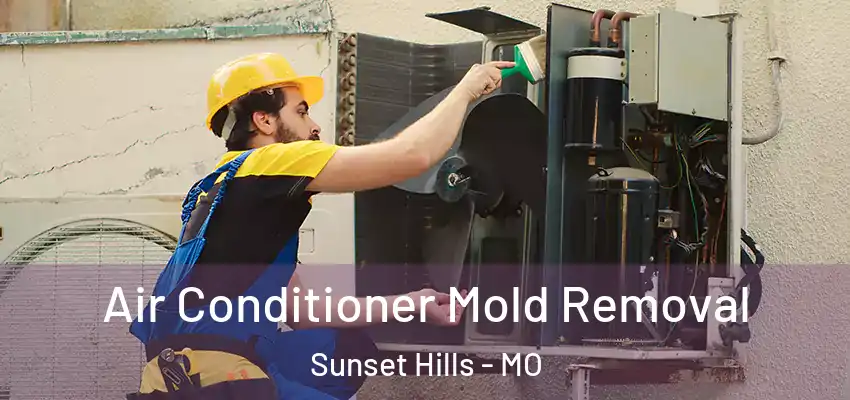  Air Conditioner Mold Removal Sunset Hills - MO