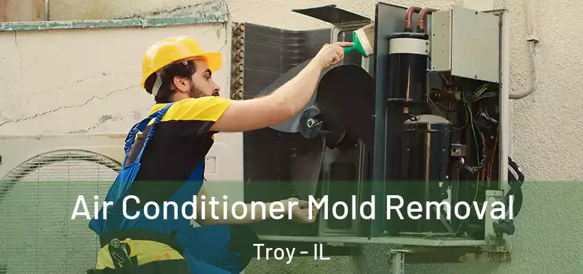  Air Conditioner Mold Removal Troy - IL