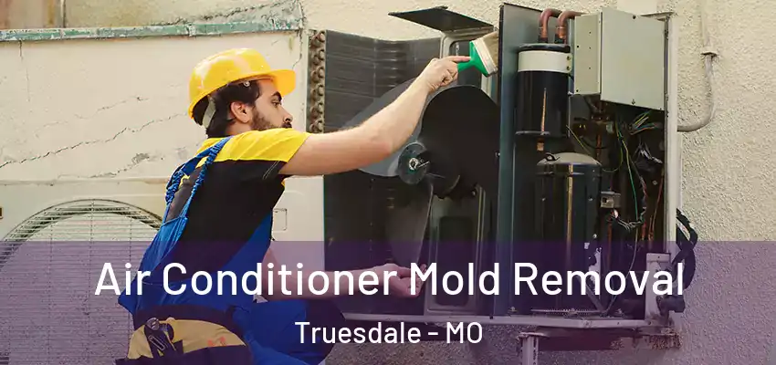  Air Conditioner Mold Removal Truesdale - MO