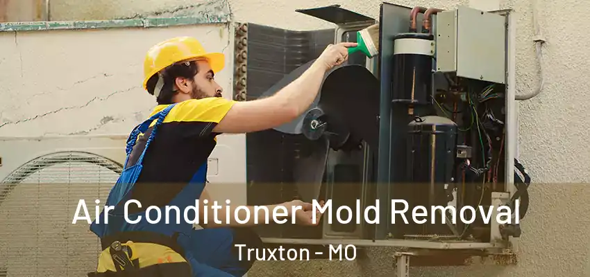  Air Conditioner Mold Removal Truxton - MO