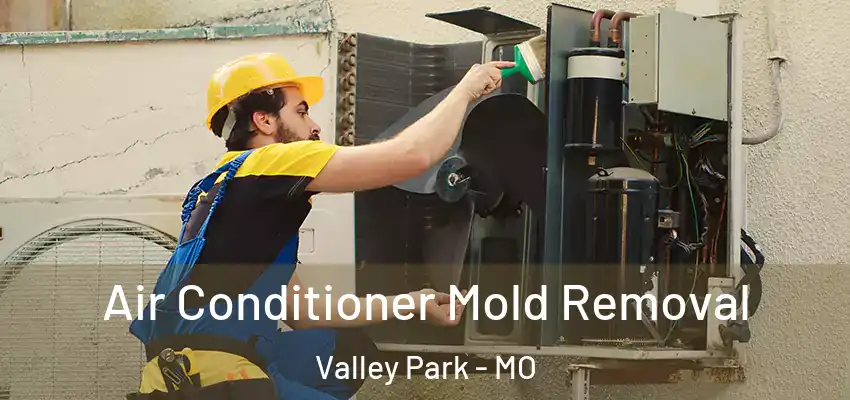  Air Conditioner Mold Removal Valley Park - MO