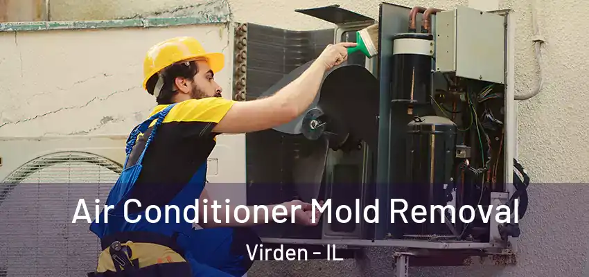  Air Conditioner Mold Removal Virden - IL