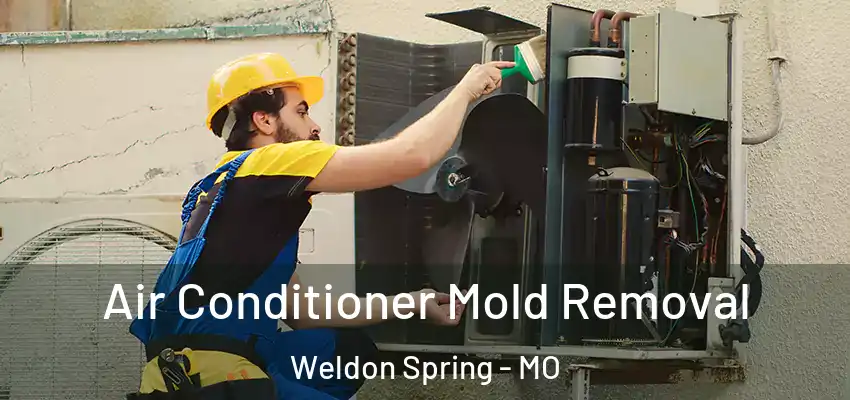 Air Conditioner Mold Removal Weldon Spring - MO