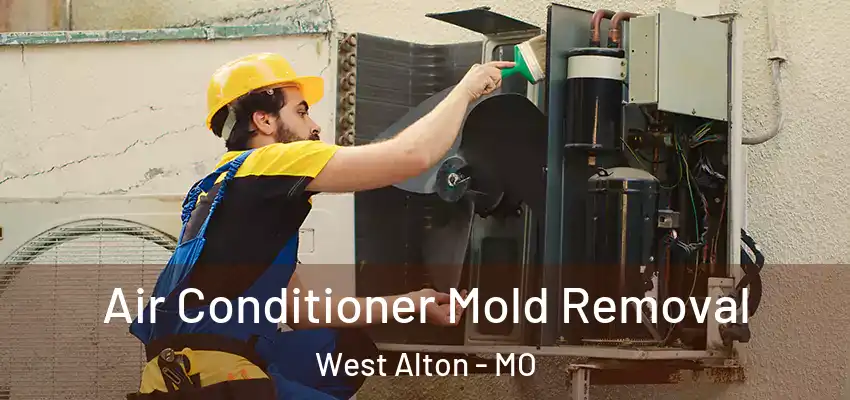 Air Conditioner Mold Removal West Alton - MO