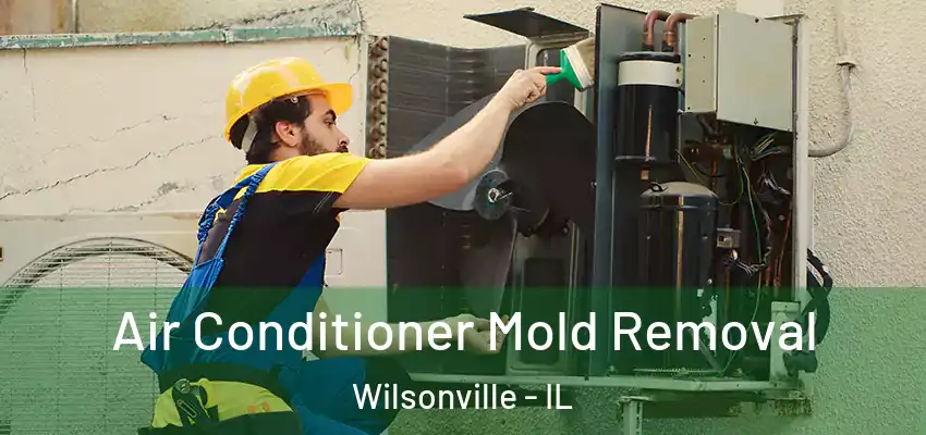  Air Conditioner Mold Removal Wilsonville - IL