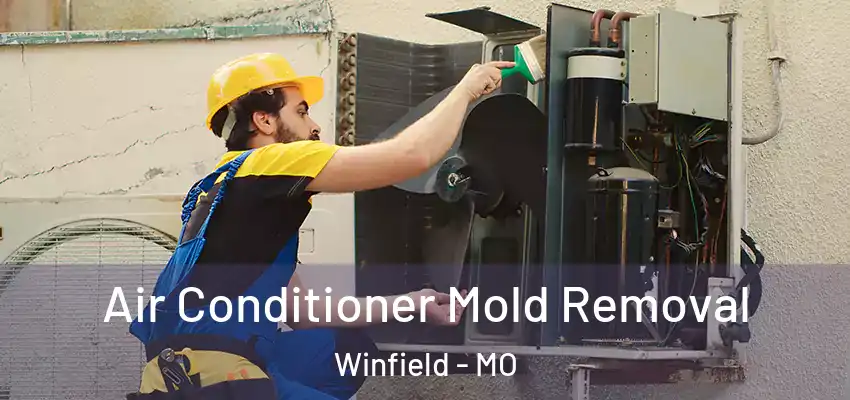  Air Conditioner Mold Removal Winfield - MO