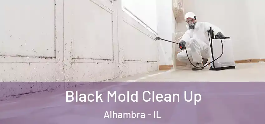  Black Mold Clean Up Alhambra - IL