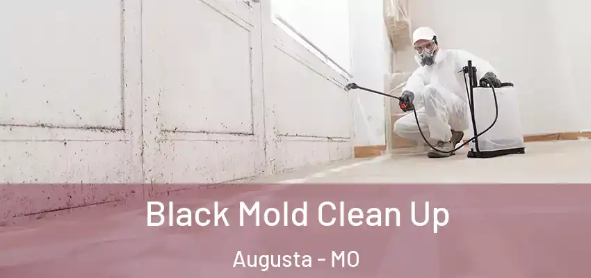  Black Mold Clean Up Augusta - MO