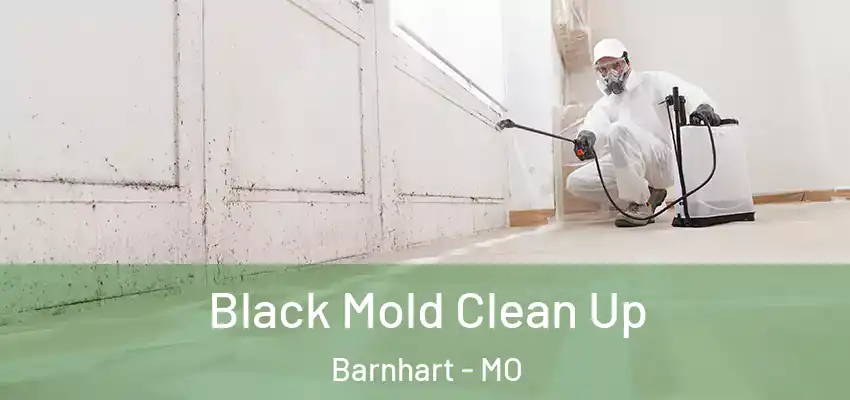  Black Mold Clean Up Barnhart - MO