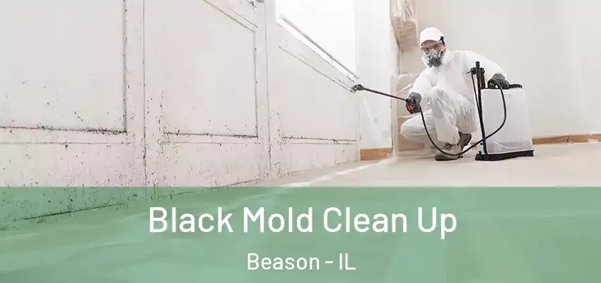  Black Mold Clean Up Beason - IL