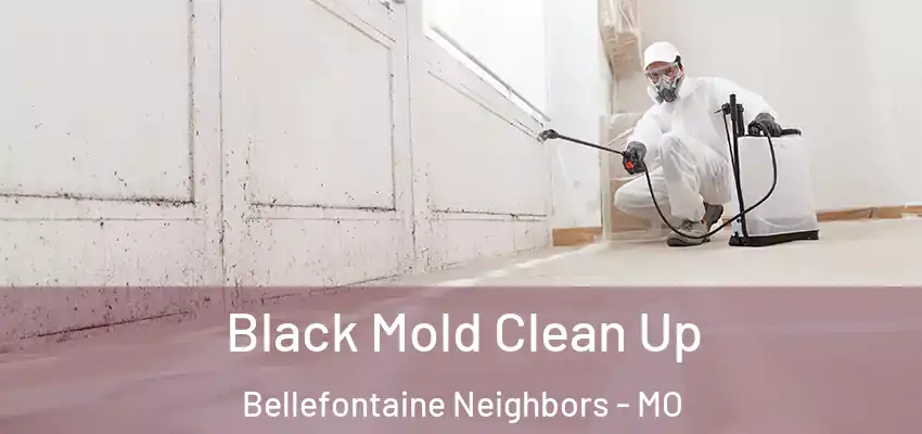  Black Mold Clean Up Bellefontaine Neighbors - MO