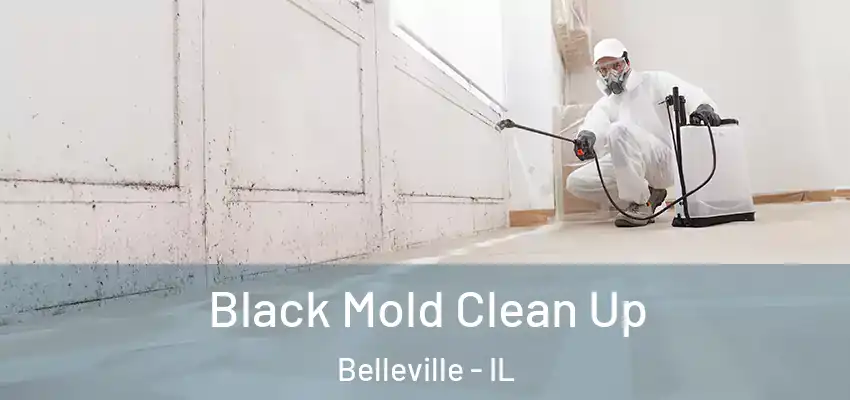  Black Mold Clean Up Belleville - IL