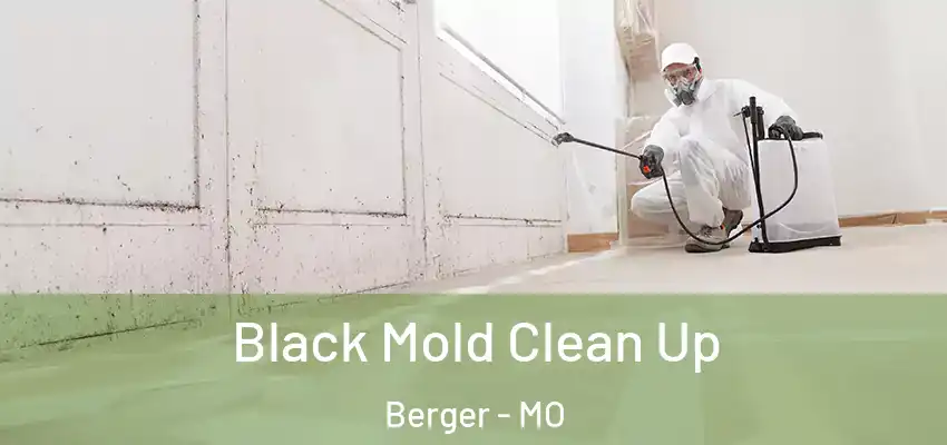 Black Mold Clean Up Berger - MO
