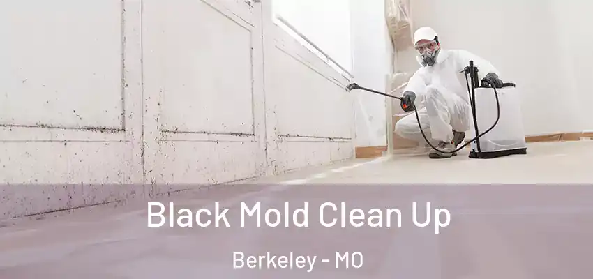  Black Mold Clean Up Berkeley - MO