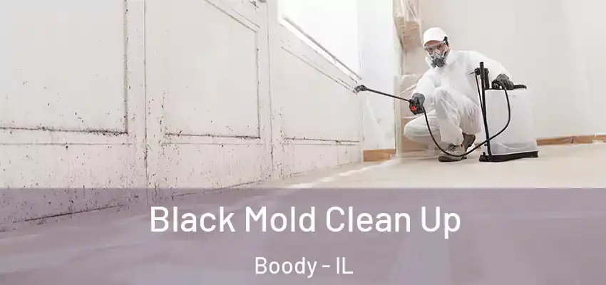  Black Mold Clean Up Boody - IL