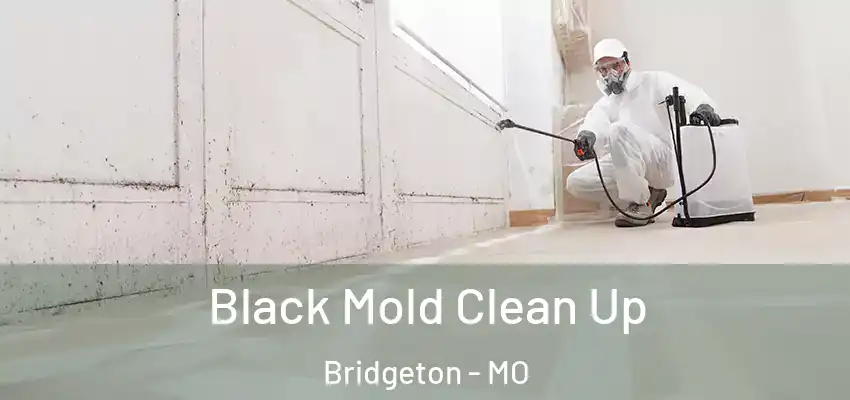  Black Mold Clean Up Bridgeton - MO