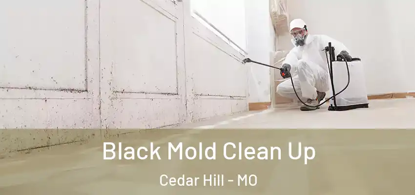  Black Mold Clean Up Cedar Hill - MO