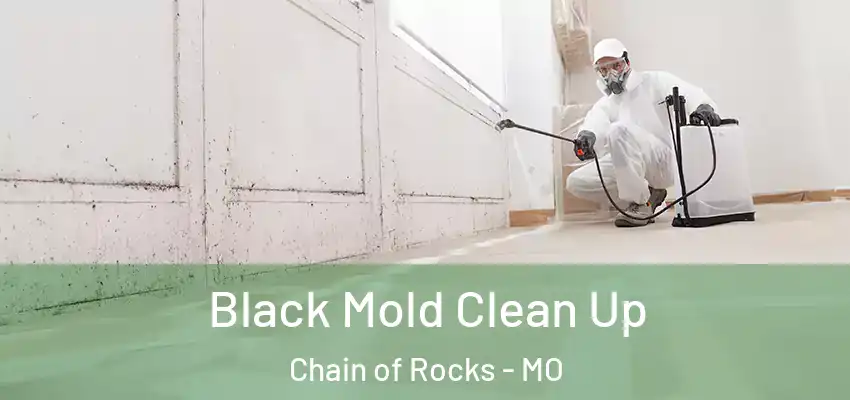  Black Mold Clean Up Chain of Rocks - MO