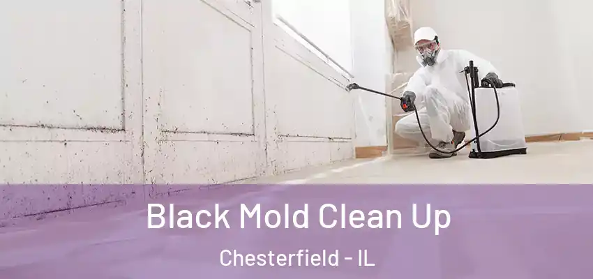  Black Mold Clean Up Chesterfield - IL