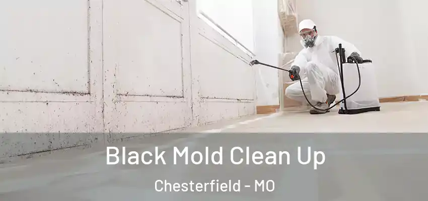  Black Mold Clean Up Chesterfield - MO